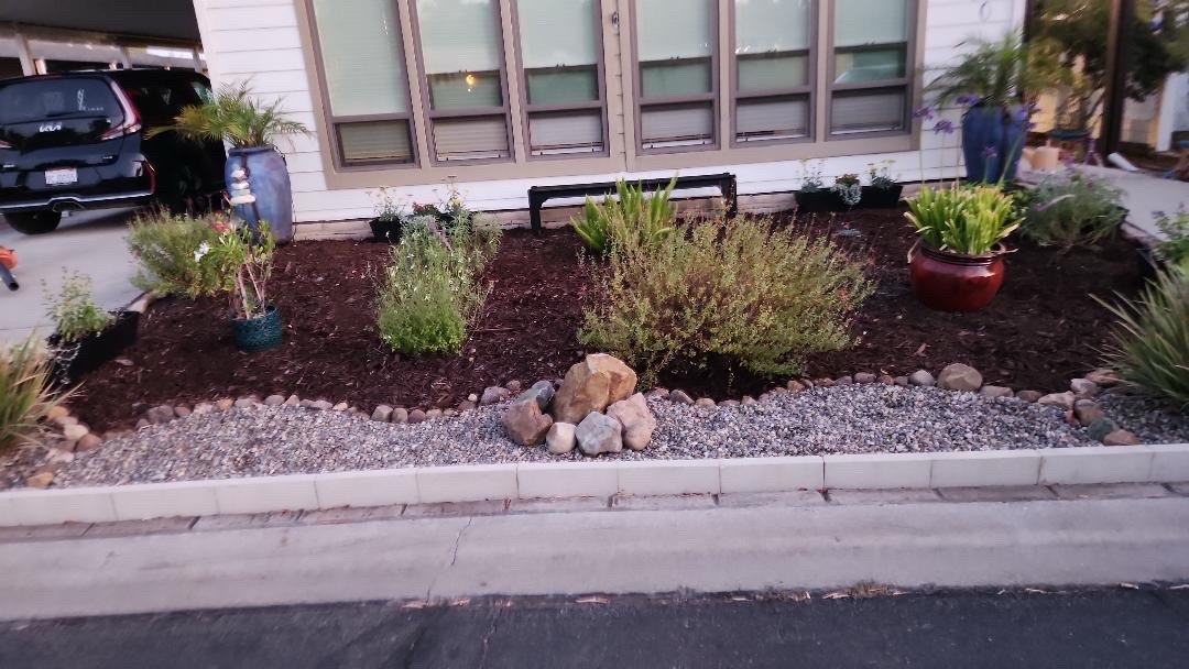 CoastCare yard cleanup case photo 1