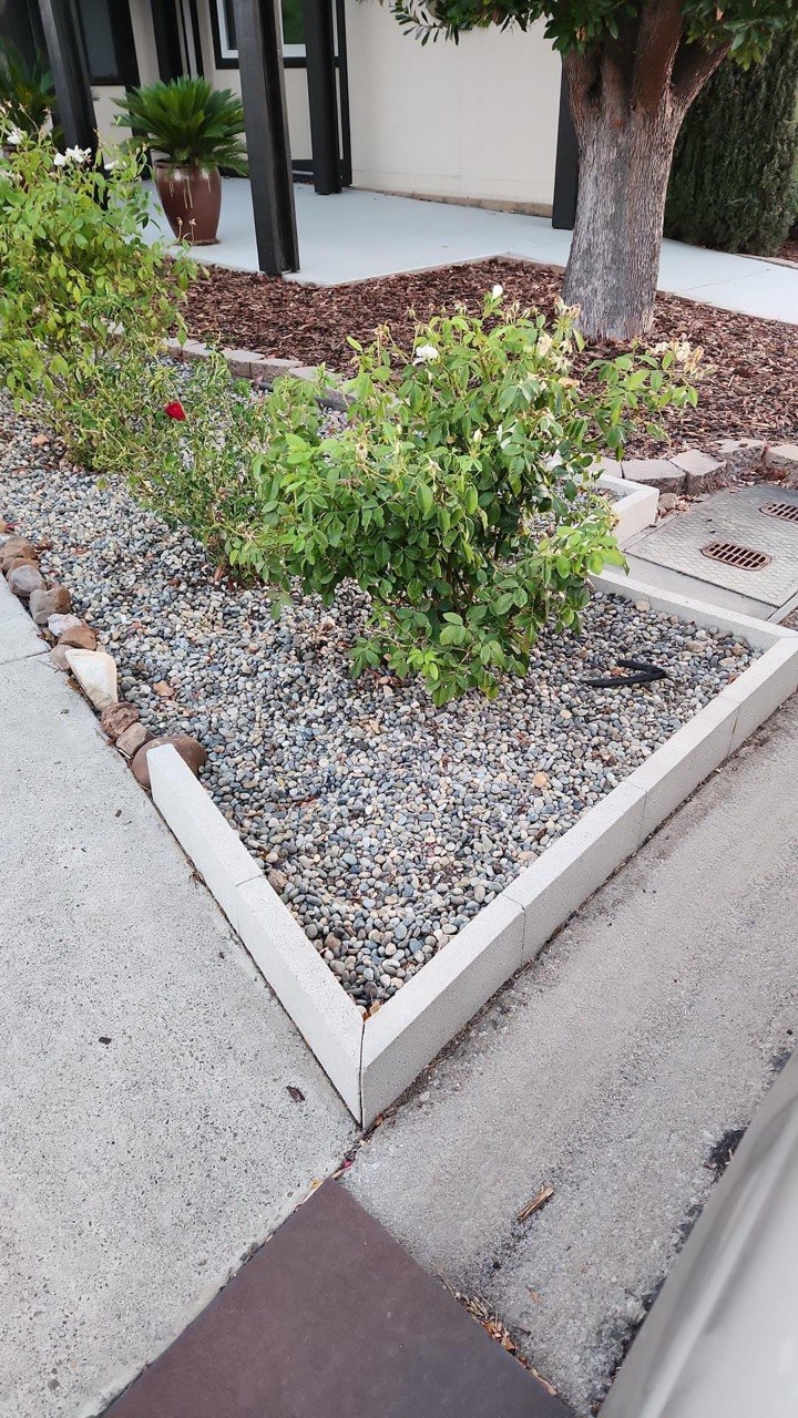 CoastCare yard cleanup case photo 8